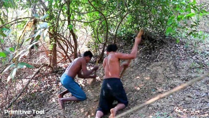 Ormanda yaşamda kalma sırrı  G1