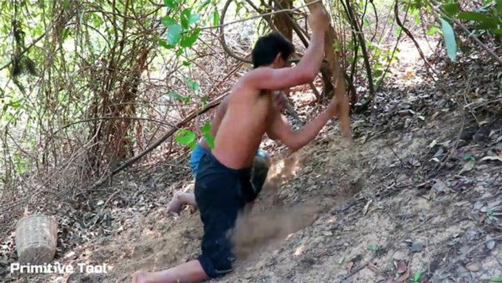 Ormanda yaşamda kalma sırrı  G2