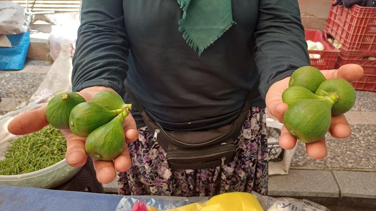 Dünyanın en kaliteli incirleri bu ilimizde! Filmlere konu olmuştu 2