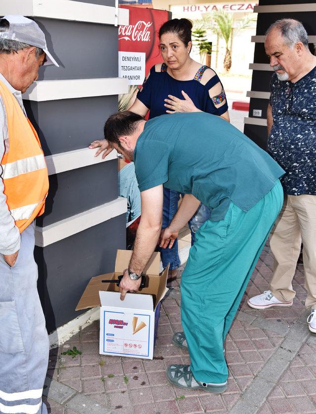 Temizlik görevlisi, yaralı kedininin tedavisini sağladı