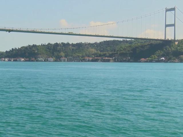 İstanbul Boğazı'nda yunus s&uuml;rprizi