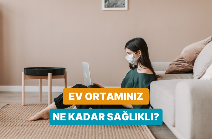 Bunları biliyor musunuz? Evin hava kalitesini artıracak 10 t&uuml;yo