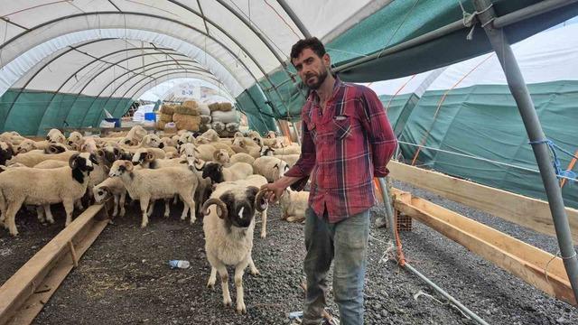 Sultangazi kurban pazarında hareketlilik başladı 3