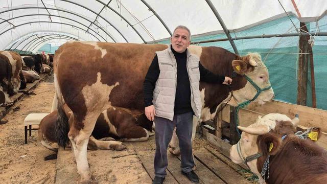 Sultangazi kurban pazarında hareketlilik başladı 4