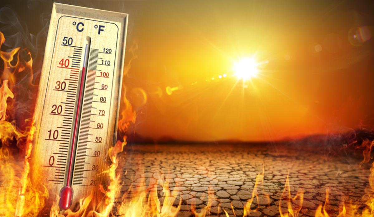 Türkiye de 66 yıl sonra bir ilk yaşanıyor! Profesör uyardı: Temmuz ve ağustos kabus olabilir 1