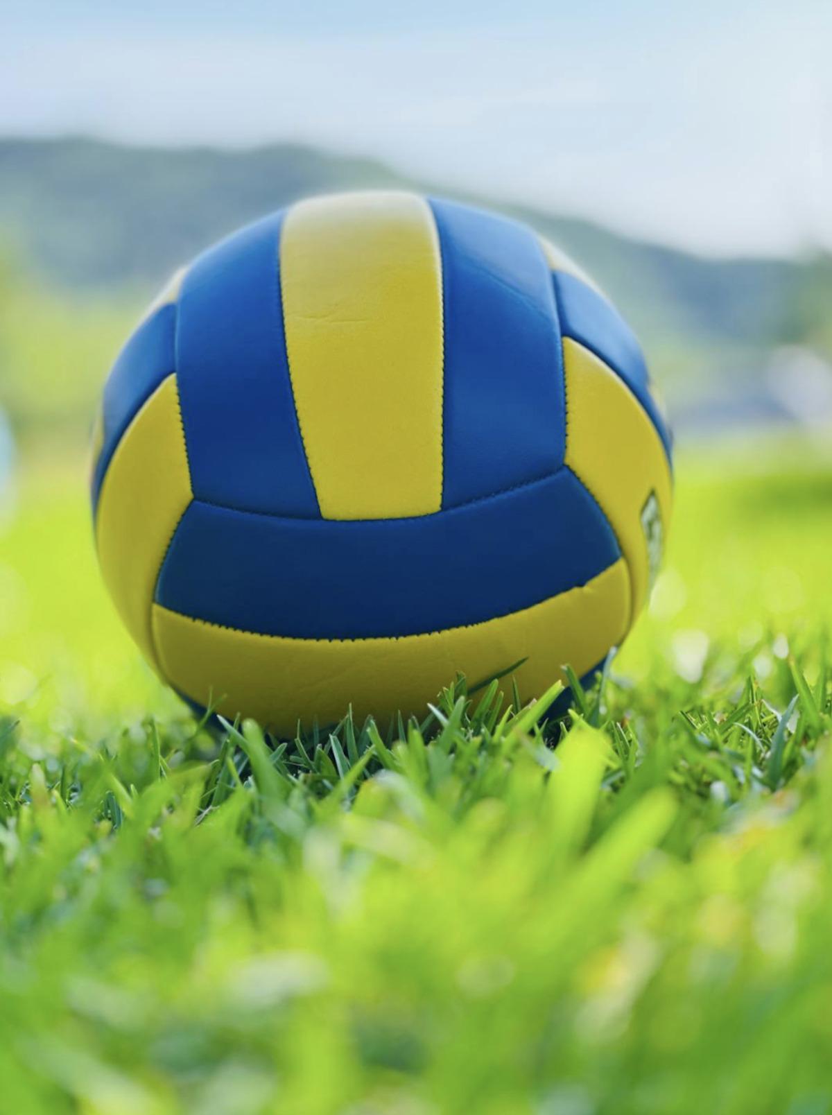 Sağlam Kafa, Sağlam Vücutta: Sporcu Bursuyla Yurt Dışında Üniversite Okumak 5