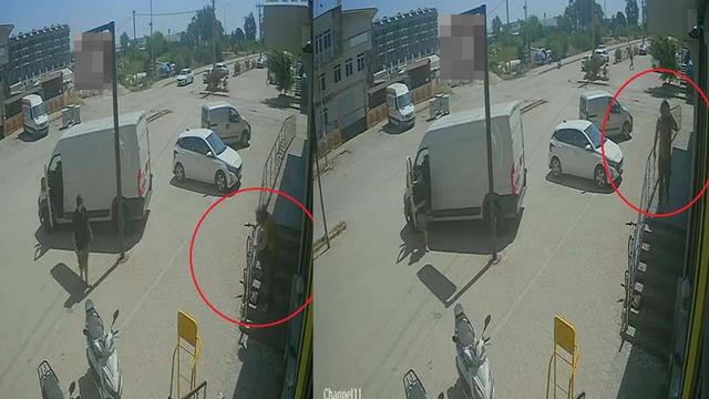 Antalya'da yabancı uyruklu şahıs kedinin üzerine bastı, köpeği tekmeledi