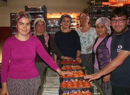 Domates yüz güldürdü