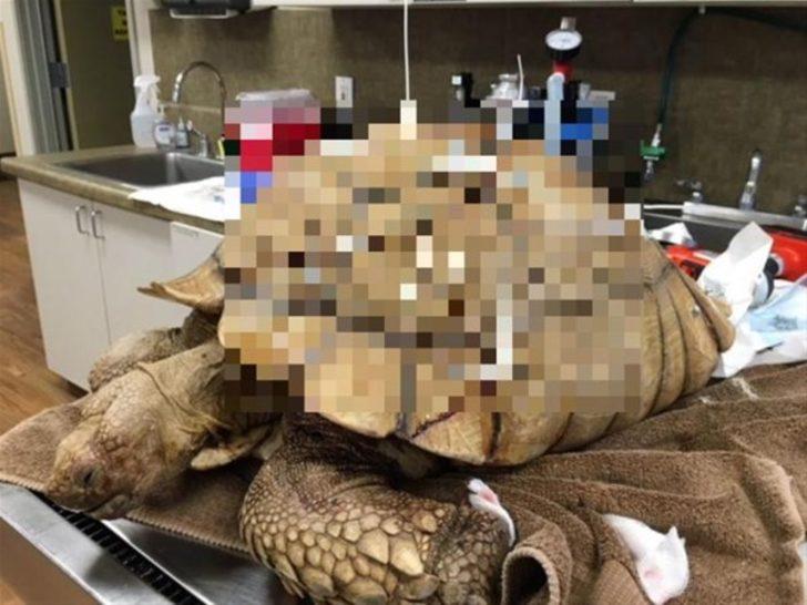 Onu bulduklarında bu haldeydi  G1