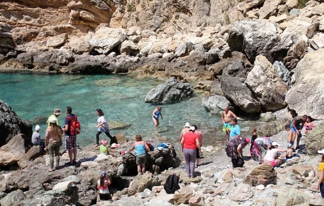 Turistler, tarlada çilek yiyip, dalından dut topluyor