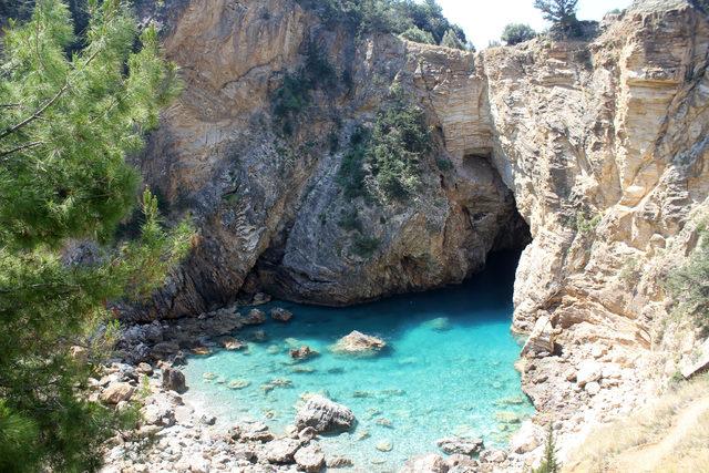 Turistler, tarlada çilek yiyip, dalından dut topluyor