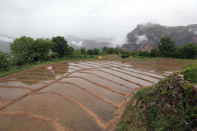 Çukurca'da sınırın sıfır noktasında 'foto safari'