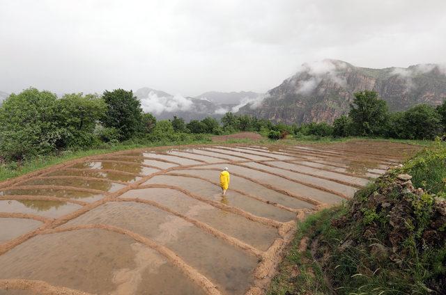 Çukurca'da sınırın sıfır noktasında 'foto safari'