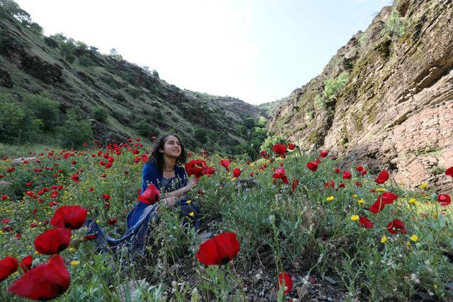 Çukurca'da sınırın sıfır noktasında 'foto safari'