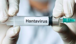 Uzmanlardan hantavir&uuml;s uyarısı: Gıdaları mutlaka koruyun