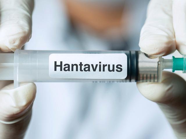 Uzmanlardan hantavir&uuml;s uyarısı: Gıdaları mutlaka koruyun