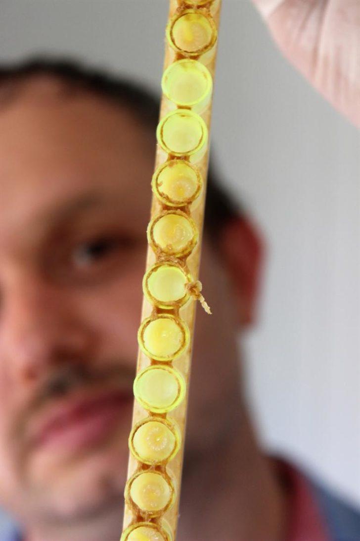 Hasadı başlayan arı sütü kilosu 4 bin liradan satılıyor G2