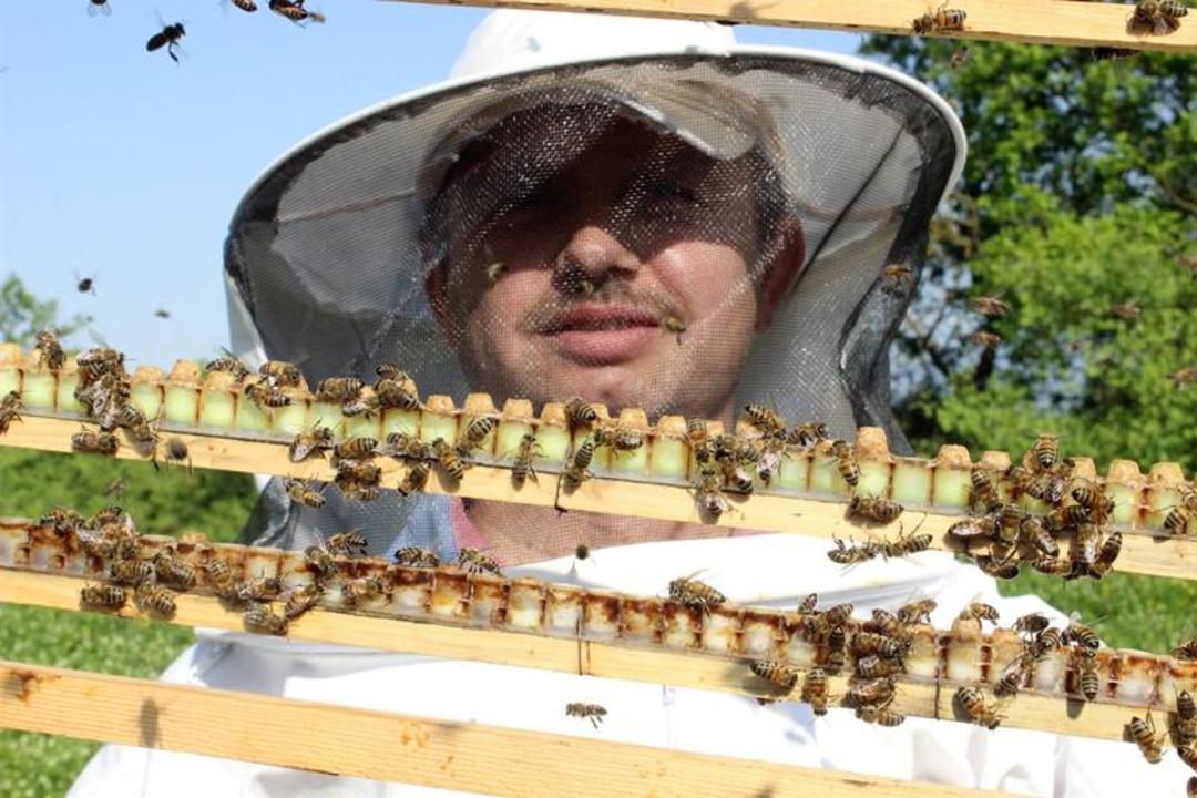 Hasadı başlayan arı s&uuml;t&uuml; kilosu 4 bin liradan satılıyor