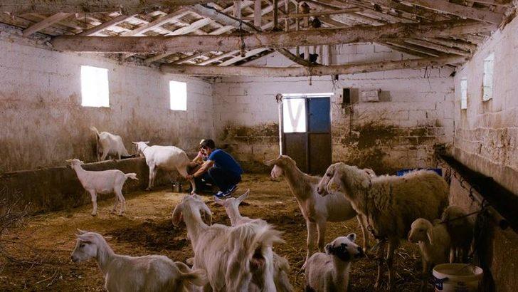 Bodrum Masalı 5. Bölüm Fotoğrafları G4