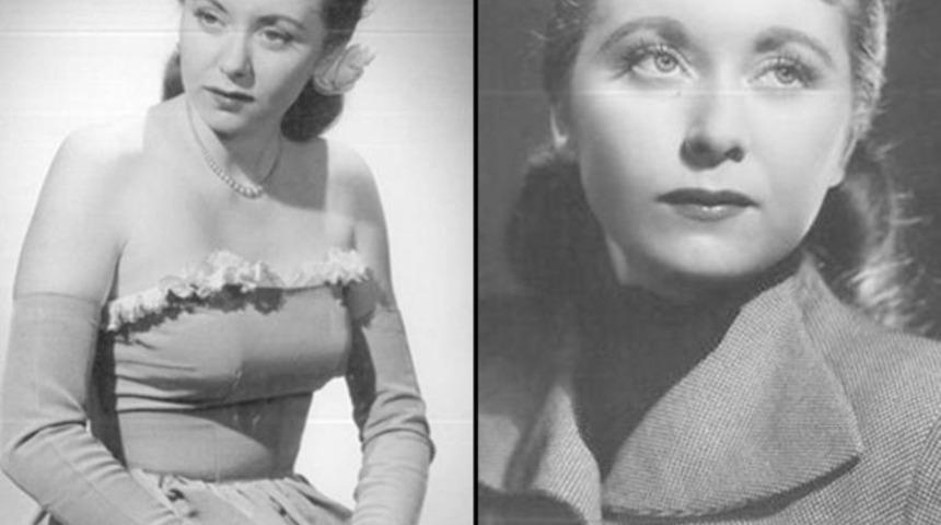 Eski sunucuyu böcekler canlı canlı yedi