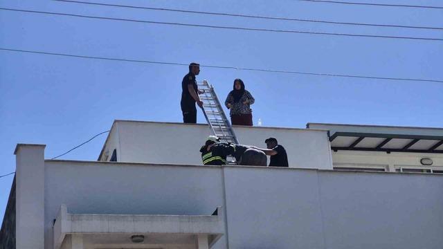 Elektrik hattı patladı, &ccedil;ıkan yangında 2 kişi mahsur kaldı 2
