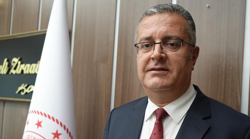 Samsun&rsquo;da kanola &uuml;retimi 47 bin dekara ulaştı