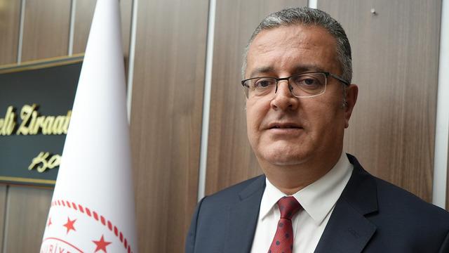 Samsun’da kanola üretimi 47 bin dekara ulaştı