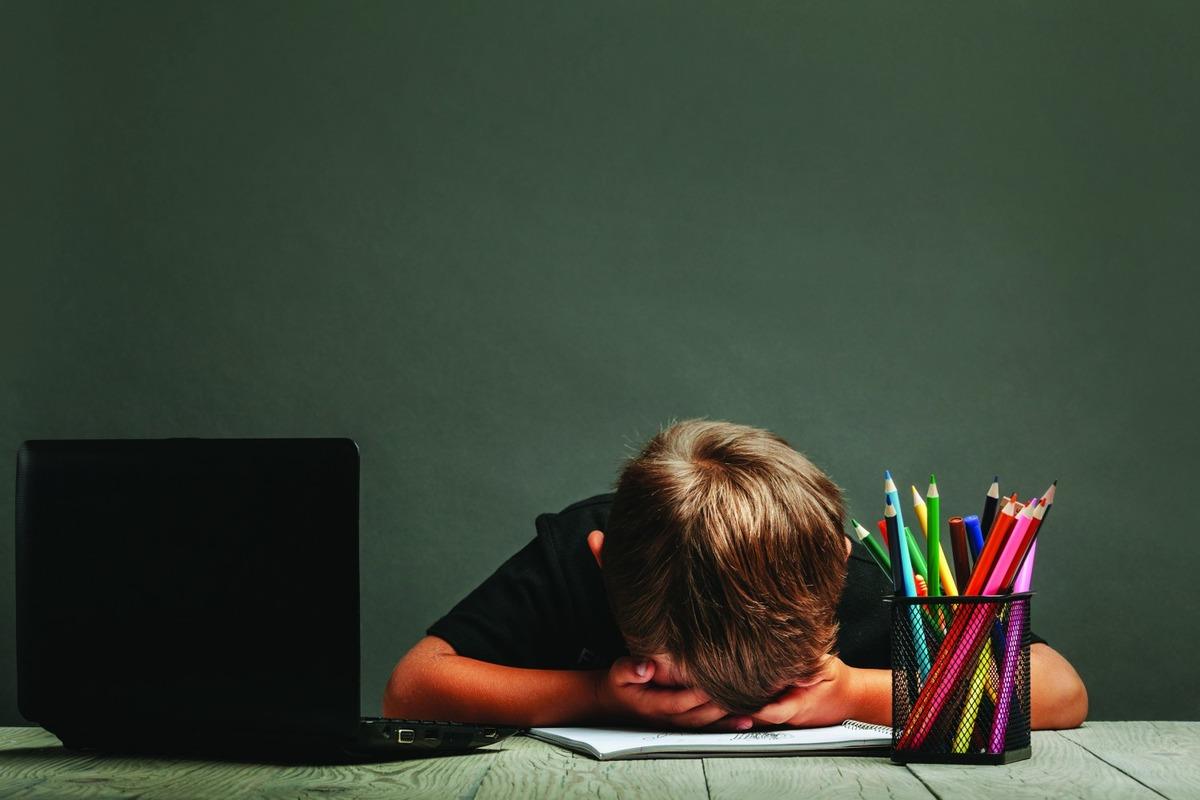 Bütünsel Eğitim Nedir? Çocuğunuz Neden Sadece Akademik Olarak Değerlendirilmemeli? 4
