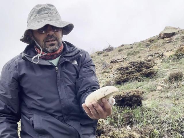 2 bin rakımda yetişiyor, kilosu altınla yarışıyor!