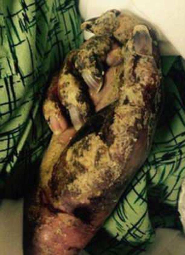 Evinde beslediği hayvanlara yem oldu! G4