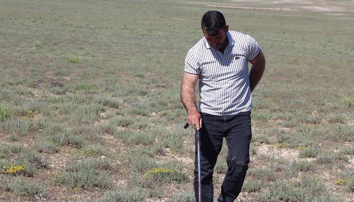 G&uuml;nde 60 bin TL'lik buluyor: 'Ev, araba, arsa aldım'