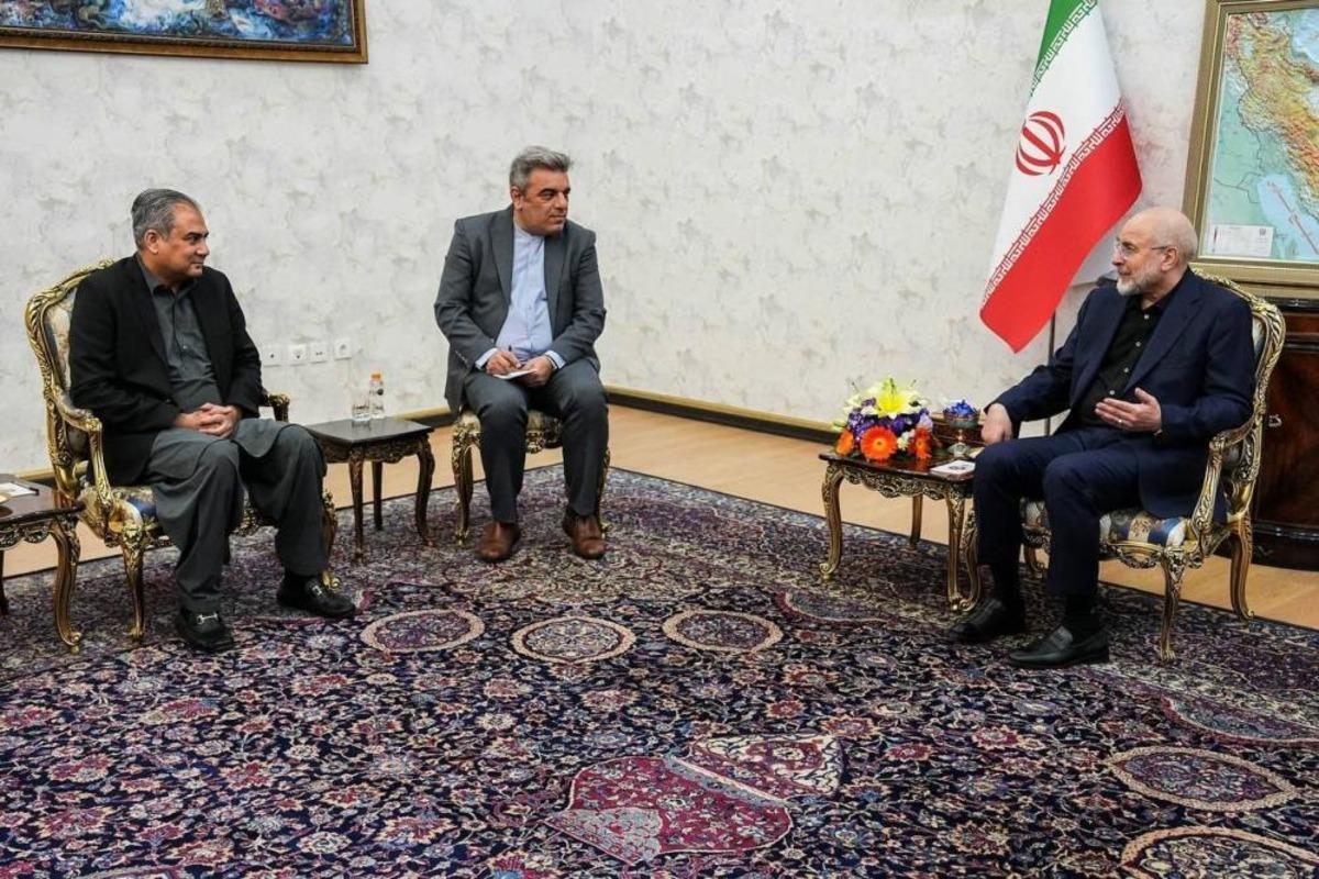 Pakistan İ&ccedil;işleri Başkanı Naqvi&rsquo;den Tahran&rsquo;a resmi ziyaret 3