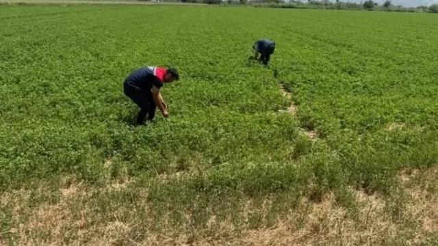 Aydın’da kuraklıkla mücadele çalışmaları sürüyor