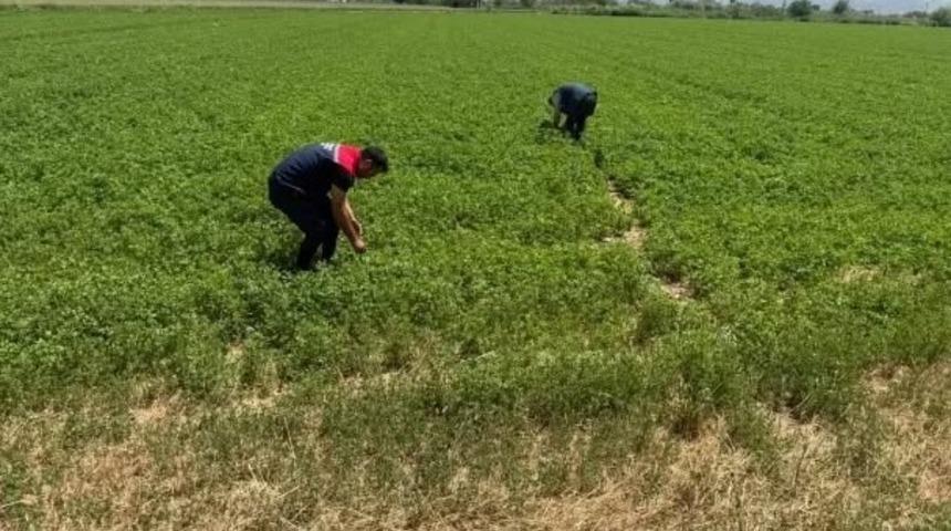 Aydın&rsquo;da kuraklıkla m&uuml;cadele &ccedil;alışmaları s&uuml;r&uuml;yor