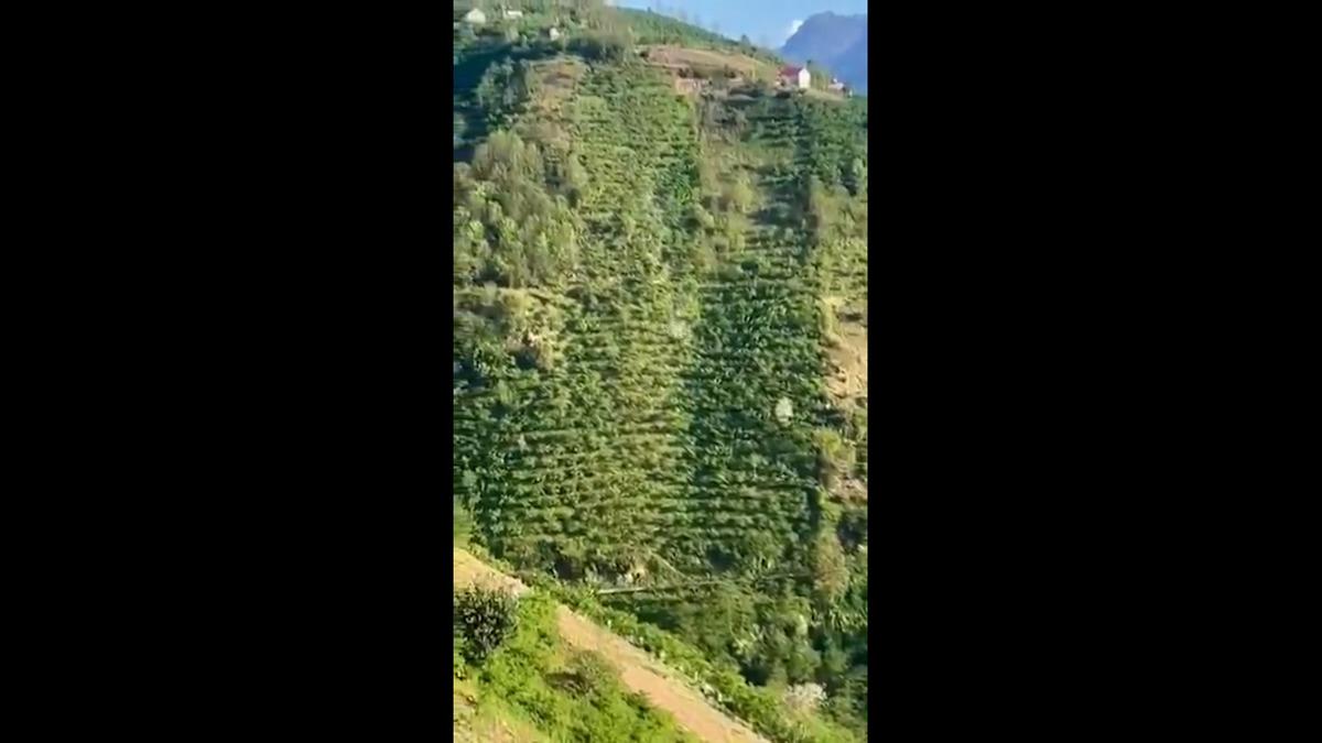 Yer: Giresun... Korkun&ccedil; kaza kamerada: Y&uuml;zlerce metrelik u&ccedil;urumdan aşağı d&uuml;şt&uuml;! 1