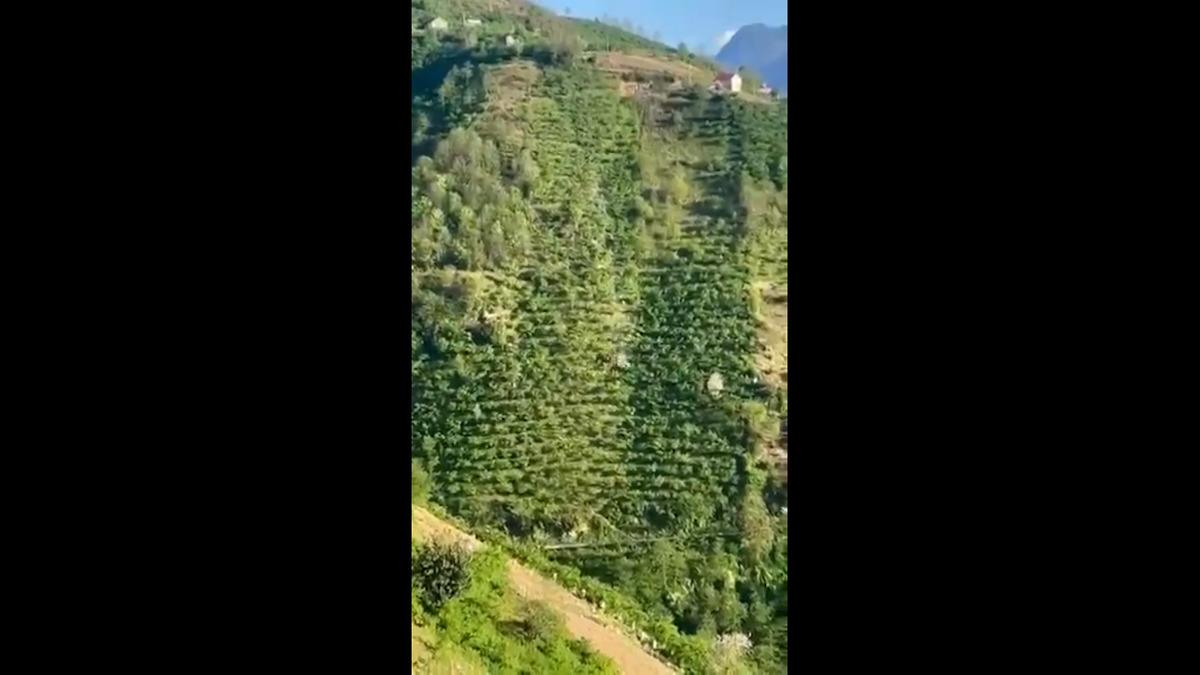 Yer: Giresun... Korkun&ccedil; kaza kamerada: Y&uuml;zlerce metrelik u&ccedil;urumdan aşağı d&uuml;şt&uuml;! 2