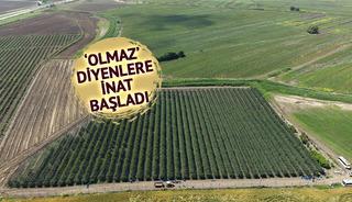 İspanya'dan getirmişti: 4 euroya alıcı buluyor, Avrupa'ya satılıyor