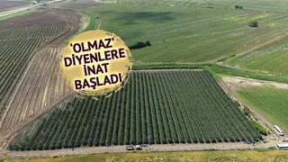 İspanya'dan getirmişti: 4 euroya alıcı buluyor, Avrupa'ya satılıyor