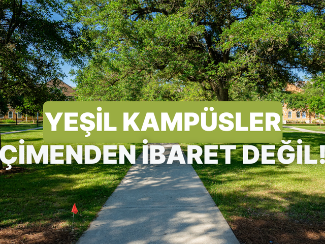 Yeşil Kamp&uuml;s Ne Demek?