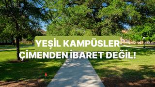 Yeşil Kampüs Ne Demek? Geleceğin Çevreci Liderlerinin Yetiştiği Eğitim Alanları