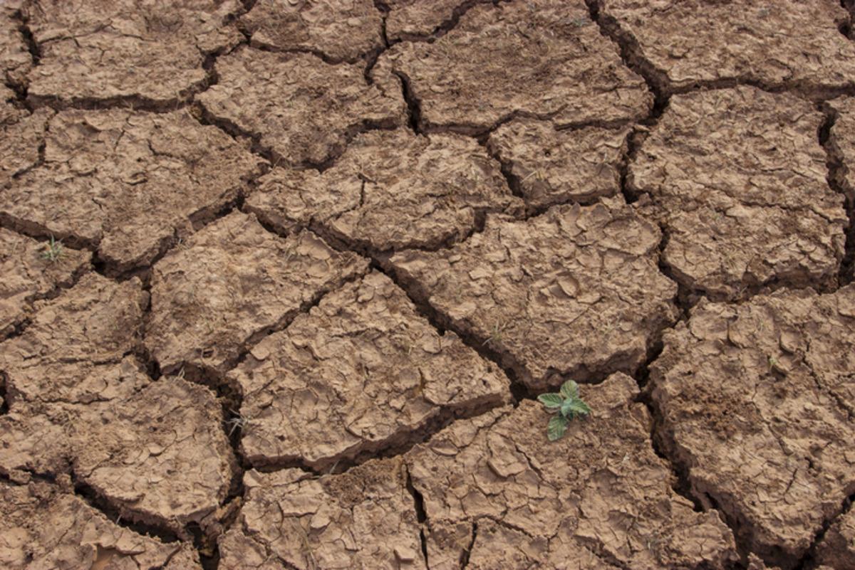 Dünya bu senaryoyu konuşuyor: El Nino nun en çok etkileyeceği alan açıklandı 2