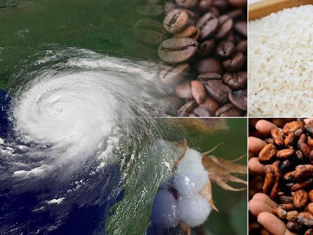 Piyasalarda yeni endişe: El Nino! Fiyat artışını işaret etti