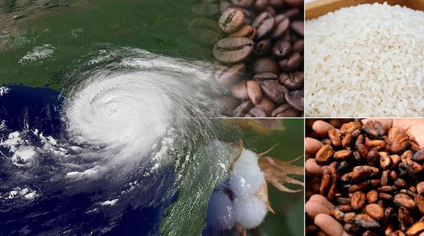 Piyasalarda yeni endişe: El Nino! Fiyat artışını işaret etti