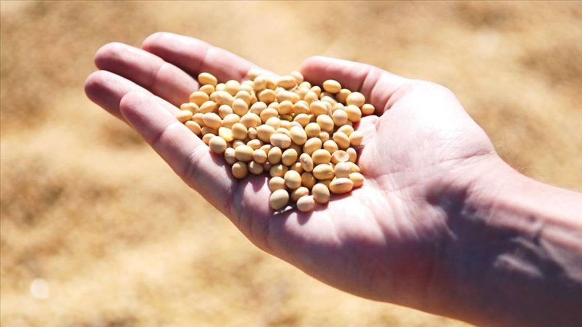 Piyasalarda yeni endişe: El Nino! Fiyat artışını işaret etti 5