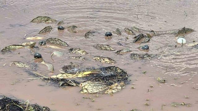 Elazığ’da av yasağı denetimi: 3 bin 90 metre ağ ele geçirildi