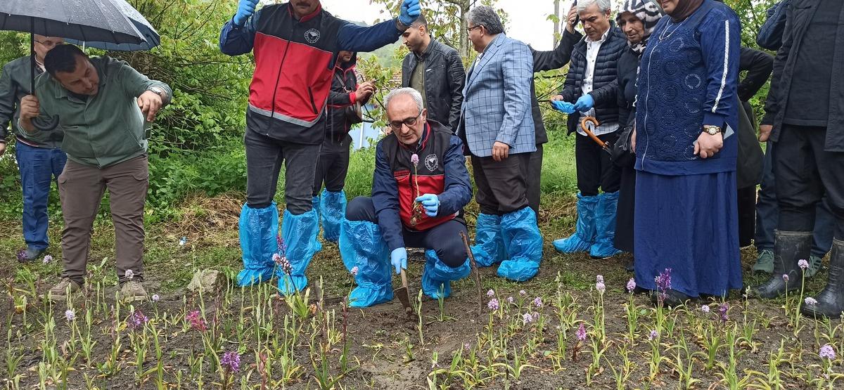 Y&uuml;r&uuml;y&uuml;şte g&ouml;r&uuml;p dikkatini &ccedil;ekti, &uuml;retime başladı: Hayatı değişti 2