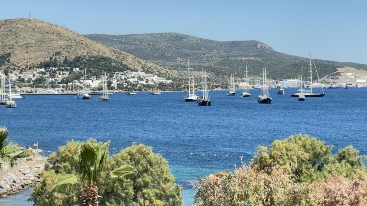Bodrum lahmacunla yine g&uuml;ndem: 250 TL mi 2 bin TL mi?  Pahalı değil  8