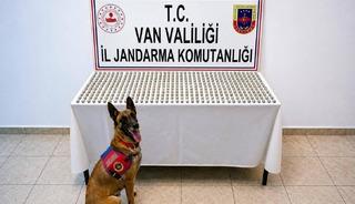 Van&rsquo;da 8 İranlı&rsquo;nın midesinde 3 kilo esrar ele ge&ccedil;irildi