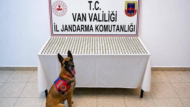 Van’da 8 İranlı’nın midesinde 3 kilo esrar ele geçirildi