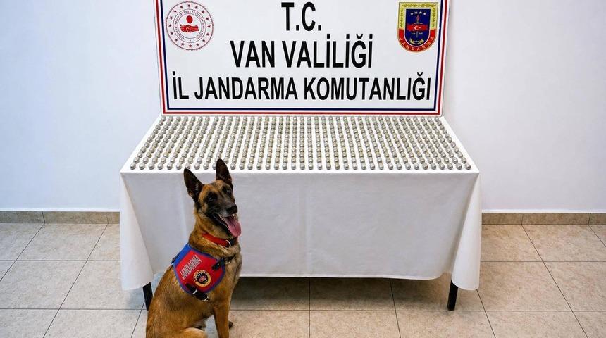 Van&rsquo;da 8 İranlı&rsquo;nın midesinde 3 kilo esrar ele ge&ccedil;irildi